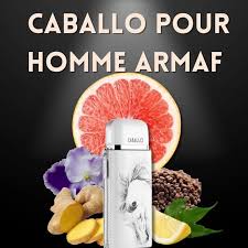 CABALLO BY ARMAF PARFUM 100 ML