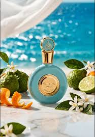HAMSA ARD AL ANBAR PARFUM 100ML