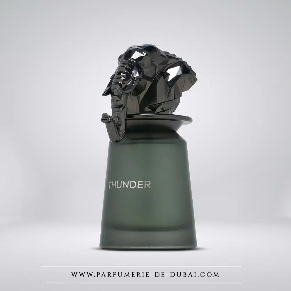 Thunder 100ML  french avenue