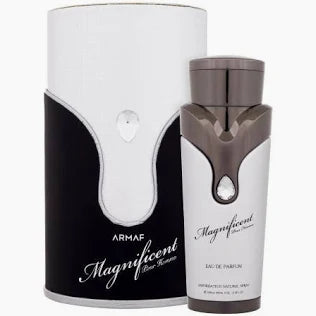 Magnificent Pour Homme 100ML